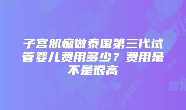 子宫肌瘤做泰国第三代试管婴儿费用多少？费用是不是很高
