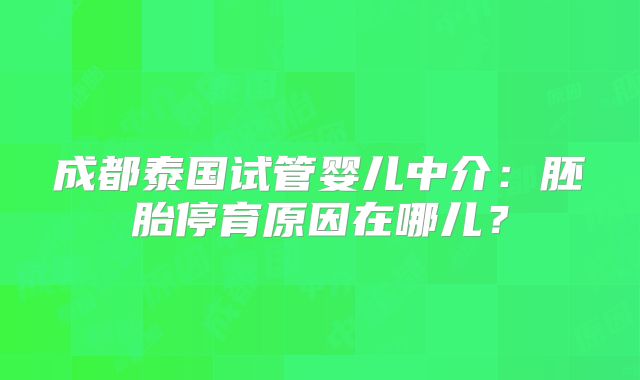 成都泰国试管婴儿中介：胚胎停育原因在哪儿？
