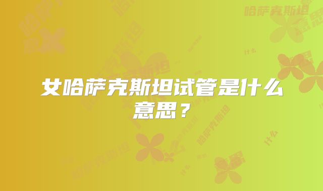 女哈萨克斯坦试管是什么意思？