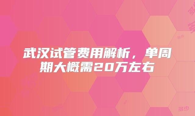 武汉试管费用解析，单周期大概需20万左右
