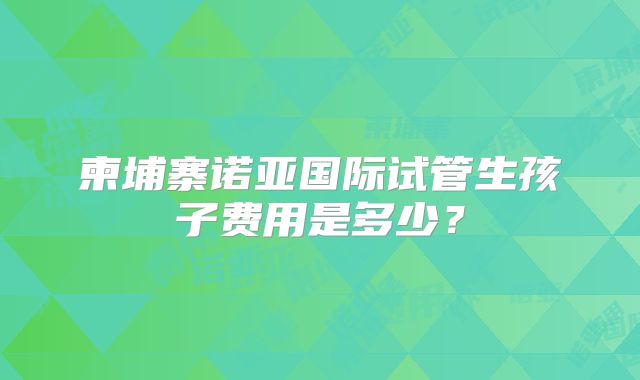 柬埔寨诺亚国际试管生孩子费用是多少？