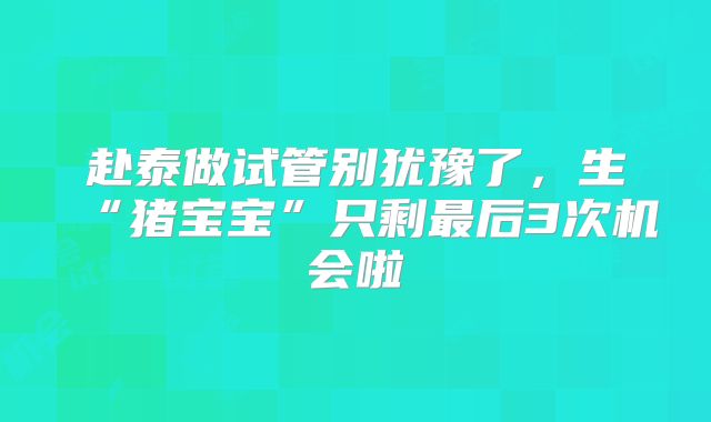 赴泰做试管别犹豫了，生“猪宝宝”只剩最后3次机会啦