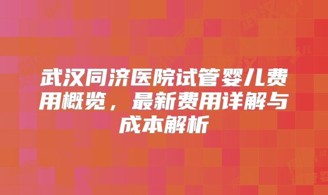 武汉同济医院试管婴儿费用概览，最新费用详解与成本解析