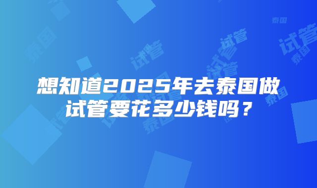 想知道2025年去泰国做试管要花多少钱吗？