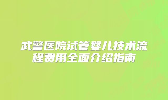 武警医院试管婴儿技术流程费用全面介绍指南