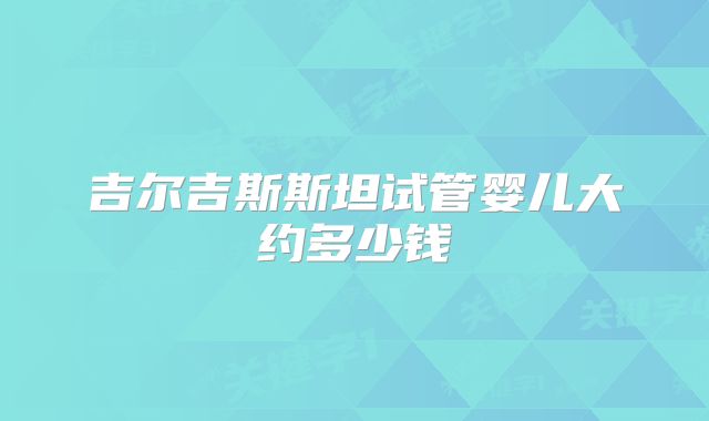 吉尔吉斯斯坦试管婴儿大约多少钱