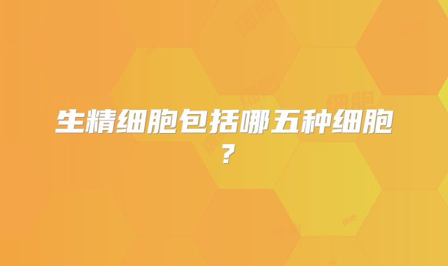 生精细胞包括哪五种细胞？