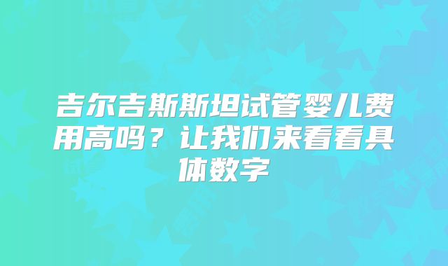 吉尔吉斯斯坦试管婴儿费用高吗?让我们来看看具体数字