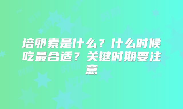 培卵素是什么？什么时候吃最合适？关键时期要注意