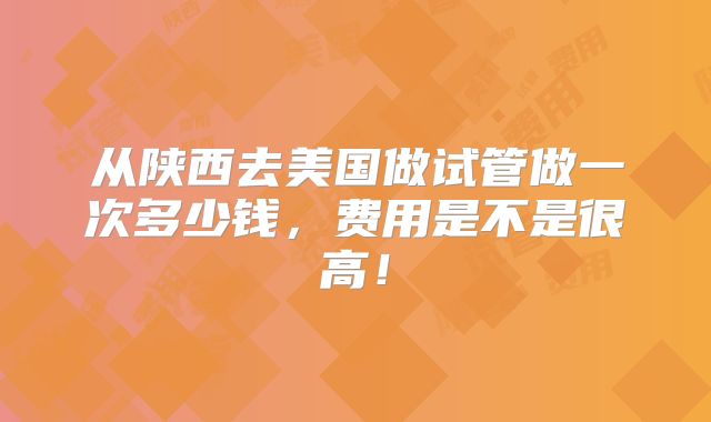 从陕西去美国做试管做一次多少钱，费用是不是很高！