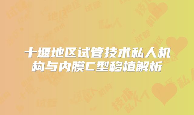 十堰地区试管技术私人机构与内膜C型移植解析