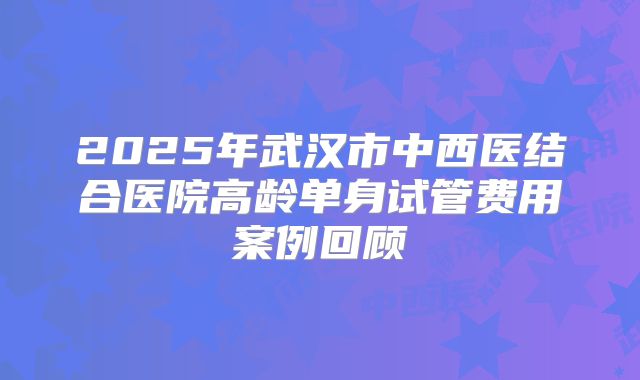 2025年武汉市中西医结合医院高龄单身试管费用案例回顾