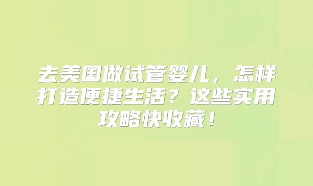 去美国做试管婴儿，怎样打造便捷生活？这些实用攻略快收藏！