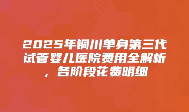 2025年铜川单身第三代试管婴儿医院费用全解析，各阶段花费明细