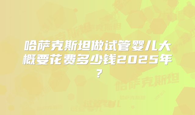 哈萨克斯坦做试管婴儿大概要花费多少钱2025年?