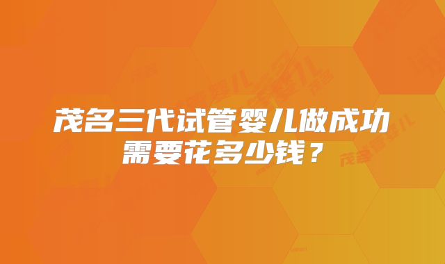 茂名三代试管婴儿做成功需要花多少钱？