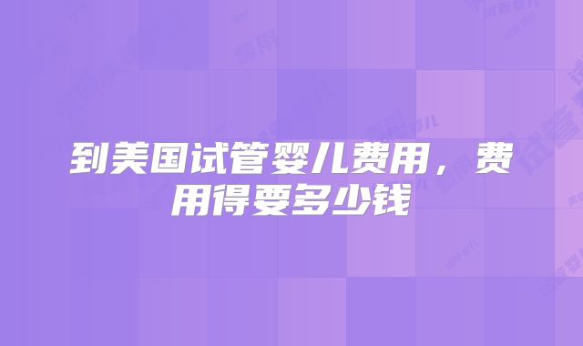 到美国试管婴儿费用，费用得要多少钱