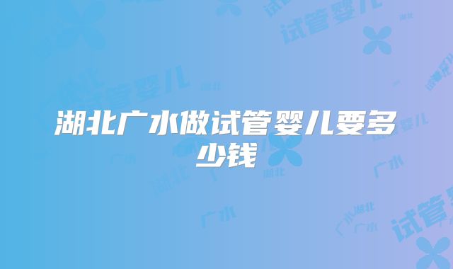湖北广水做试管婴儿要多少钱