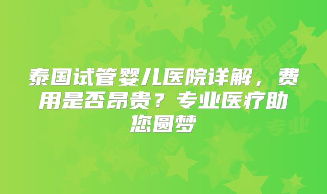 泰国试管婴儿医院详解，费用是否昂贵？专业医疗助您圆梦