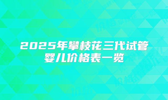 2025年攀枝花三代试管婴儿价格表一览