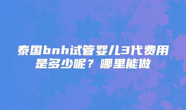 泰国bnh试管婴儿3代费用是多少呢？哪里能做