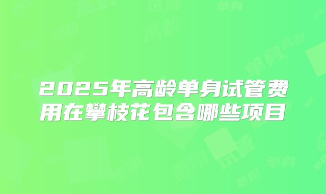 2025年高龄单身试管费用在攀枝花包含哪些项目