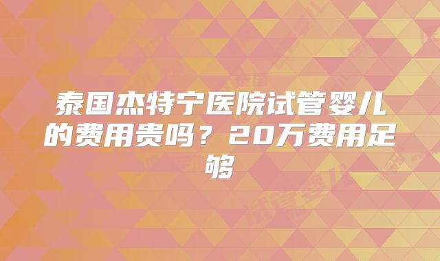 泰国杰特宁医院试管婴儿的费用贵吗？20万费用足够