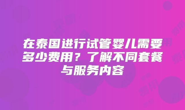 在泰国进行试管婴儿需要多少费用？了解不同套餐与服务内容
