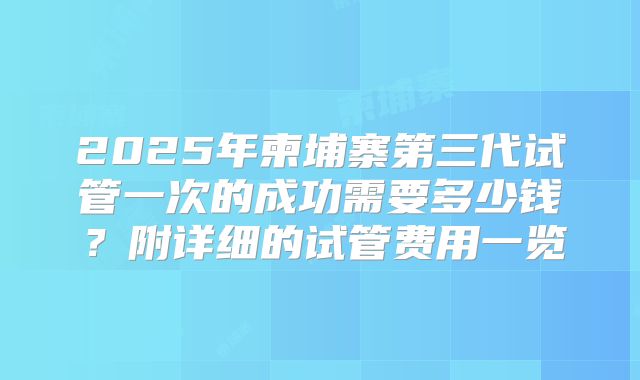 2025年柬埔寨第三代试管一次的成功需要多少钱？附详细的试管费用一览