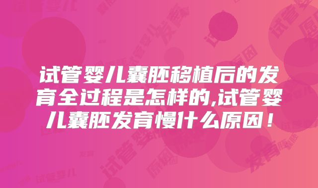 试管婴儿囊胚移植后的发育全过程是怎样的,试管婴儿囊胚发育慢什么原因！