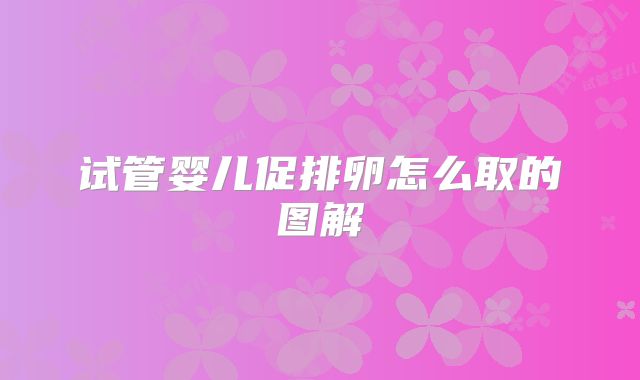 试管婴儿促排卵怎么取的图解