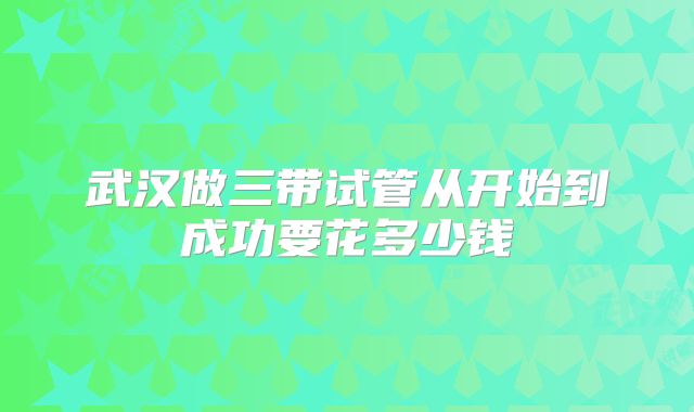 武汉做三带试管从开始到成功要花多少钱
