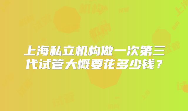 上海私立机构做一次第三代试管大概要花多少钱？
