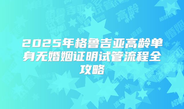 2025年格鲁吉亚高龄单身无婚姻证明试管流程全攻略