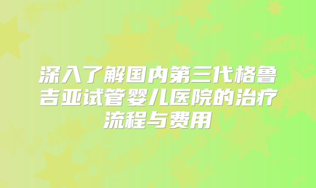 深入了解国内第三代格鲁吉亚试管婴儿医院的治疗流程与费用