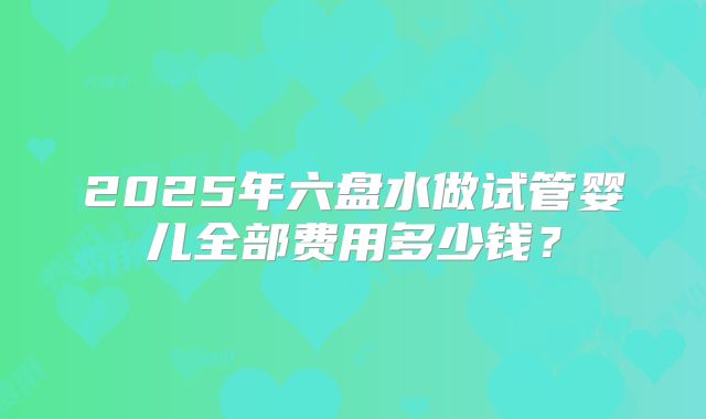 2025年六盘水做试管婴儿全部费用多少钱？