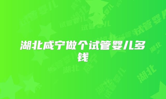 湖北咸宁做个试管婴儿多钱