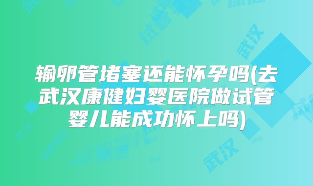 输卵管堵塞还能怀孕吗(去武汉康健妇婴医院做试管婴儿能成功怀上吗)