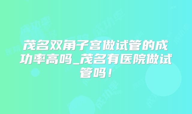茂名双角子宫做试管的成功率高吗_茂名有医院做试管吗!