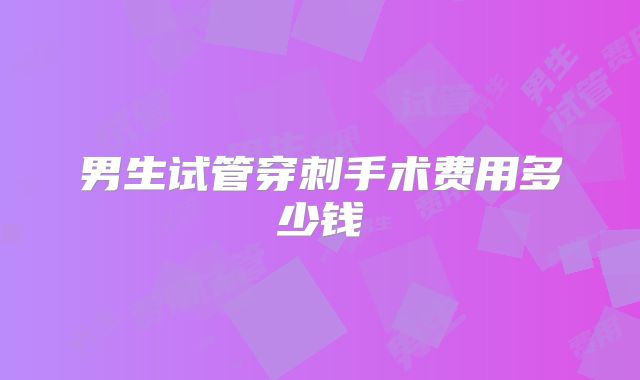 男生试管穿刺手术费用多少钱