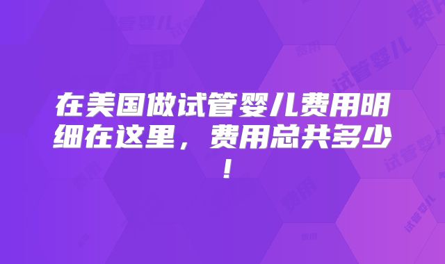 在美国做试管婴儿费用明细在这里，费用总共多少！