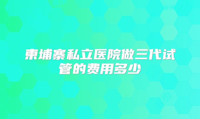 柬埔寨私立医院做三代试管的费用多少
