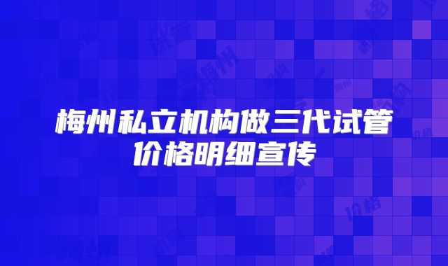 梅州私立机构做三代试管价格明细宣传