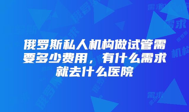 俄罗斯私人机构做试管需要多少费用，有什么需求就去什么医院