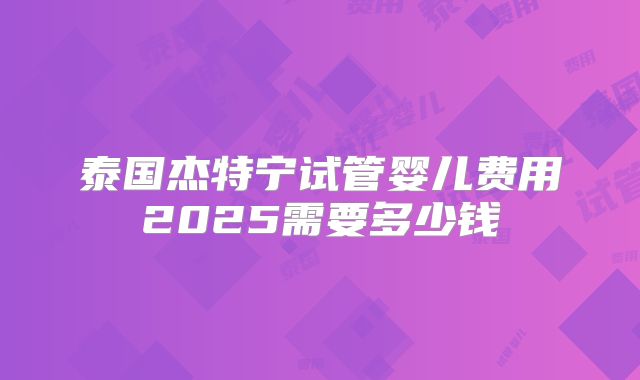 泰国杰特宁试管婴儿费用2025需要多少钱