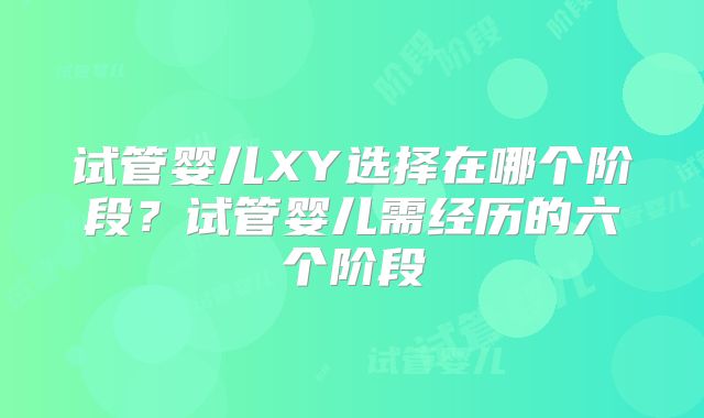 试管婴儿XY选择在哪个阶段？试管婴儿需经历的六个阶段