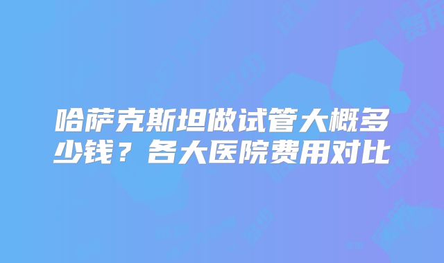 哈萨克斯坦做试管大概多少钱？各大医院费用对比