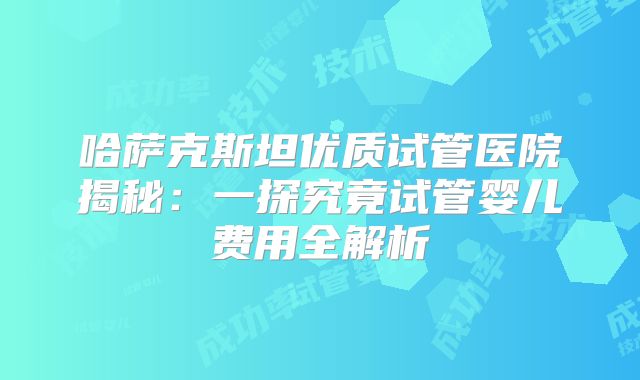 哈萨克斯坦优质试管医院揭秘：一探究竟试管婴儿费用全解析