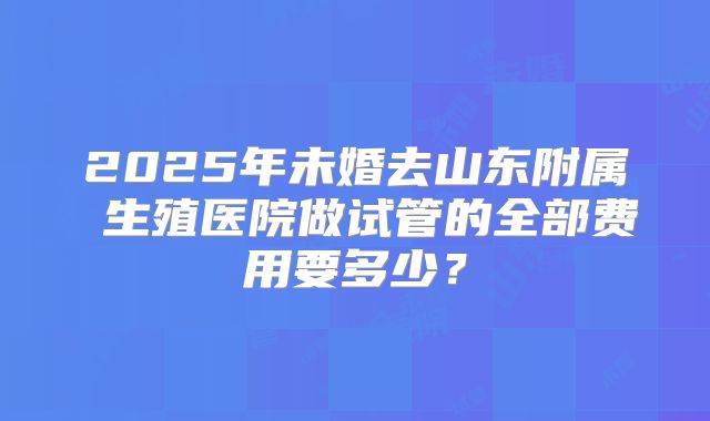 2025年未婚去山东附属 生殖医院做试管的全部费用要多少？
