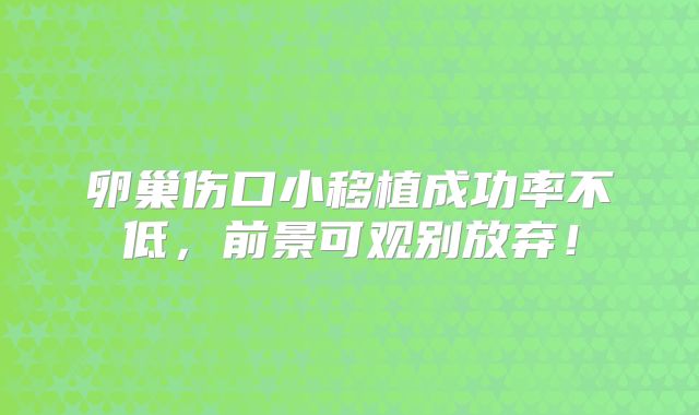 卵巢伤口小移植成功率不低，前景可观别放弃！